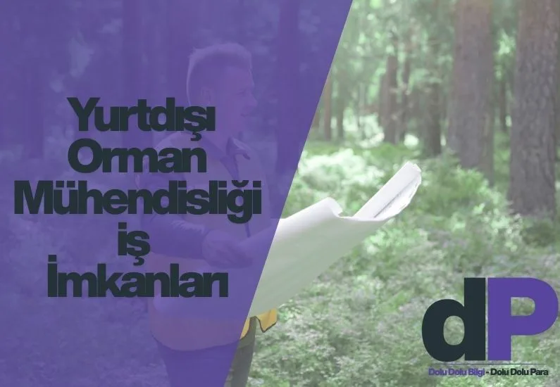 Orman Mühendisliği Yurtdışı İş İmkanları 1 orman mühendisliği yurtdışı iş imkanları